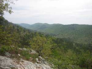 Southeast facing view into the Viles Branch valley from Eagle Rock Vista.